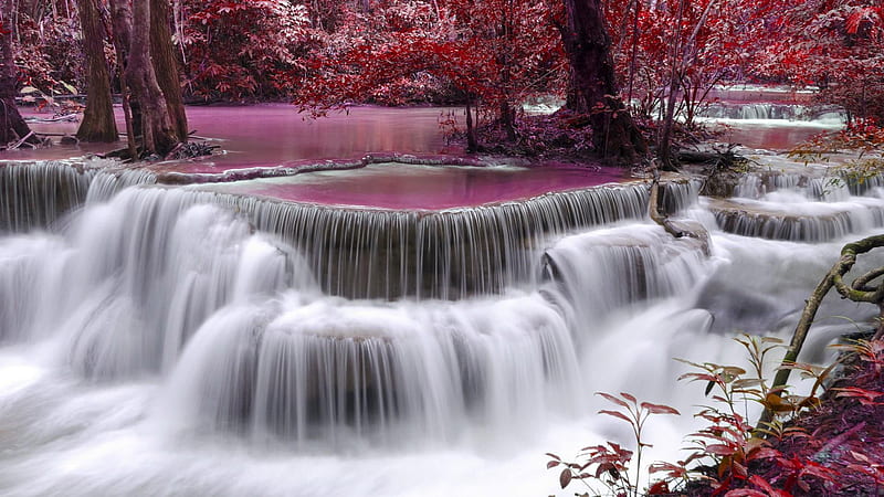 Waterfall Stream Pouring On River Surrounded By Red Leafed Trees Nature, HD wallpaper