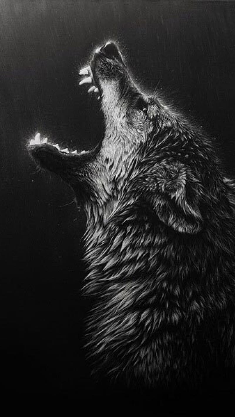 Dark Black Wolf Roar, dark black, wolf roar, animal, wild, darkness, HD phone wallpaper