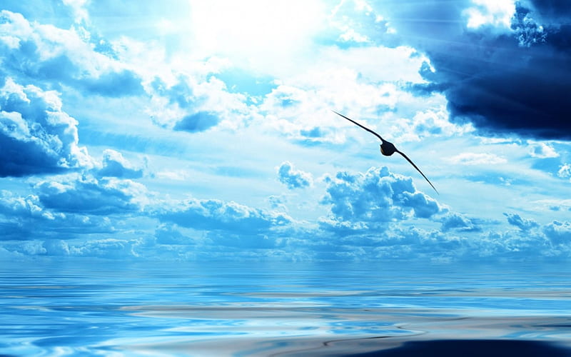 silent blue sea, calm, horizon, bird, clouds, sea, blue, HD wallpaper