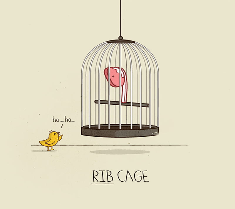 Cage, rib, HD wallpaper