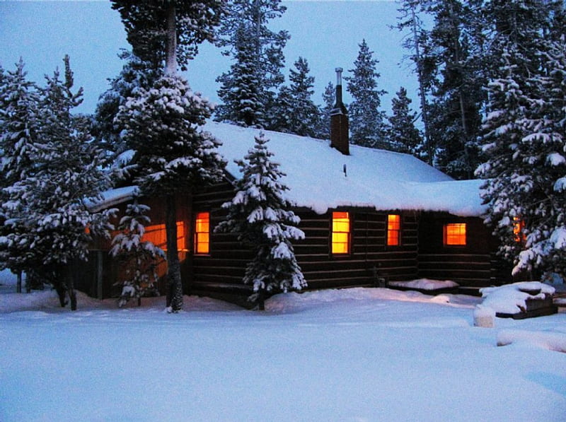 Cabins At Winter Forest, Trees, Firs, Light, Snow HD Wallpaper | Pxfuel