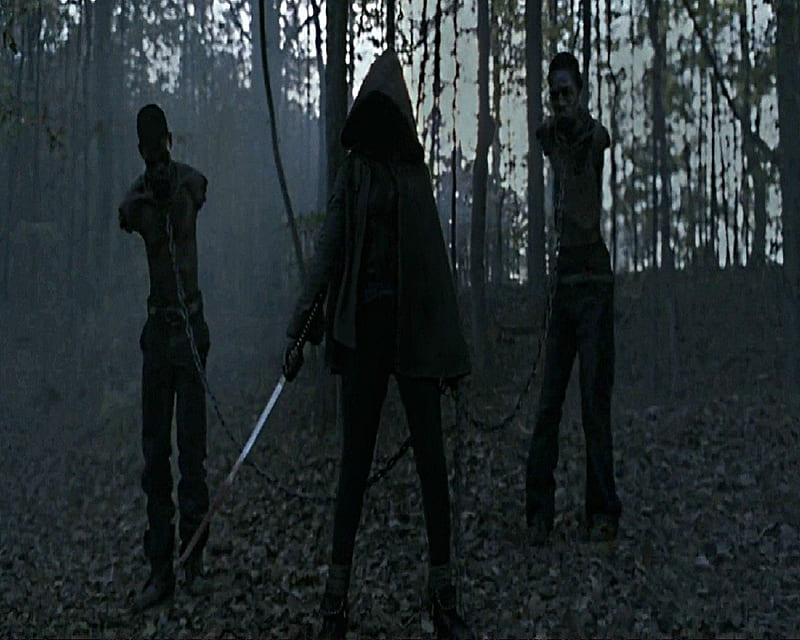 The Walking Dead (TV series), Michonne, Katana, Walkers, Woods, HD wallpaper