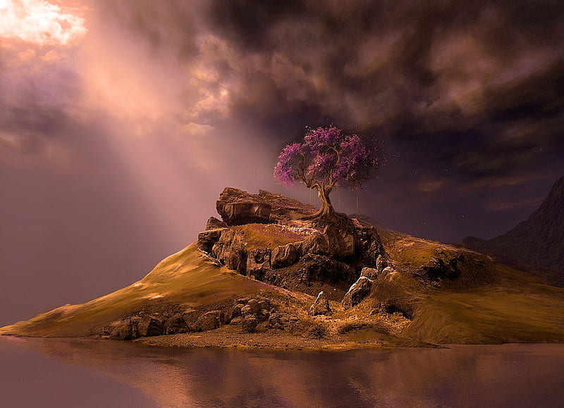 Purple Tree, nature, water, purple, trees, HD wallpaper | Peakpx