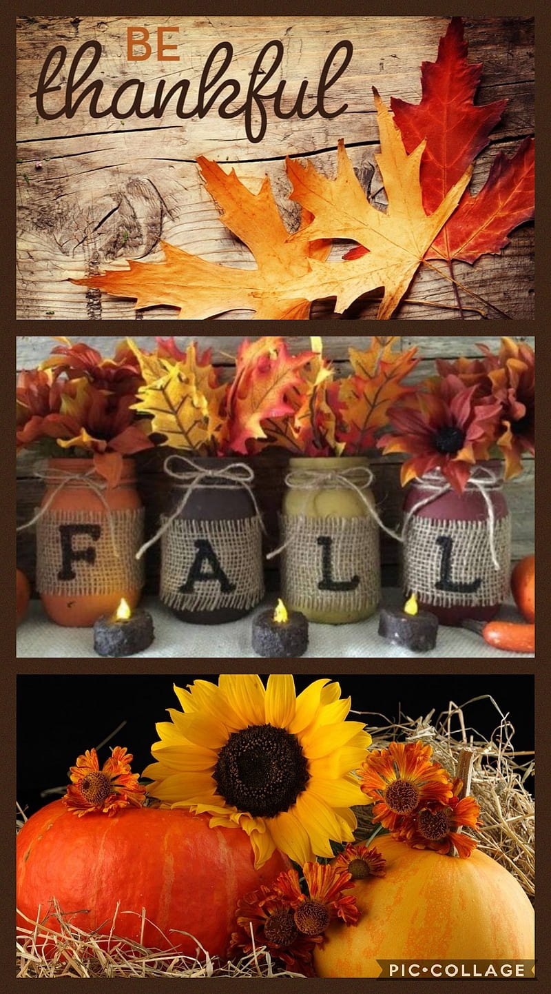 Fall, autumn, thanksgiving, HD phone wallpaper | Peakpx