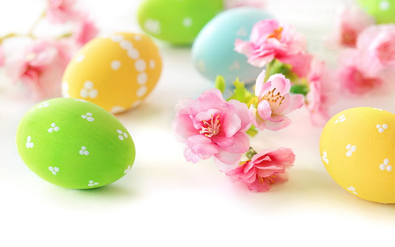 Easter, spring flowers, Easter eggs, white background, painted eggs, HD wallpaper