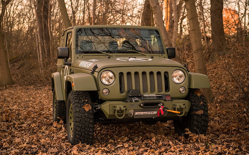 Geigercars, tuning, 2018 cars, Jeep Wrangler Geiger-Willys, SUVs, offroad, Jeep Wrangler, Jeep, HD wallpaper