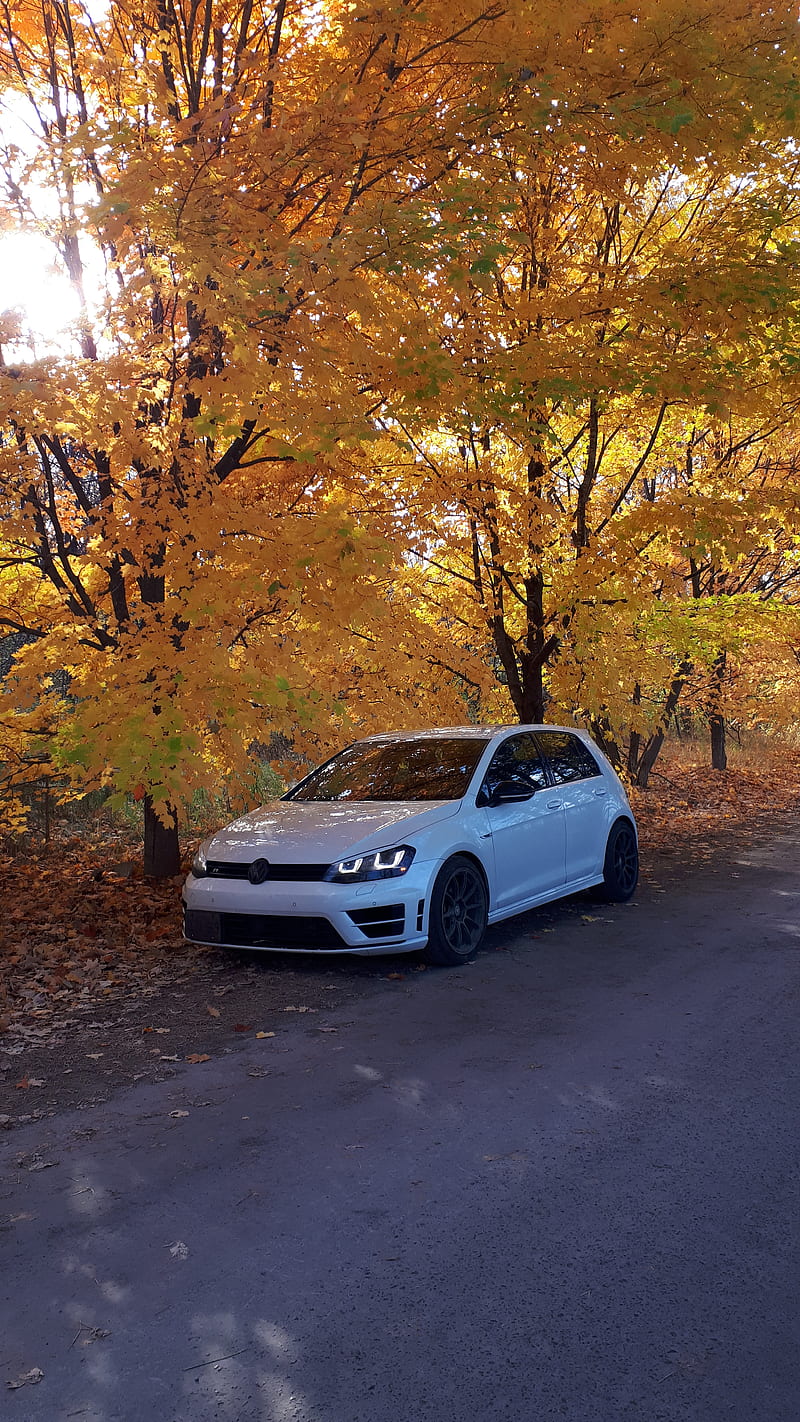 Mk7 in the fall, awd, car, colours, golf r, performance, volks, volkswagen, vw, HD phone wallpaper