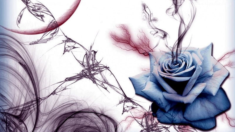 Smoke Rose, flower, art, rose, blue, HD wallpaper