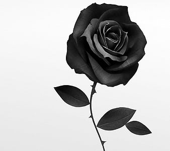 Funeral background HD wallpapers