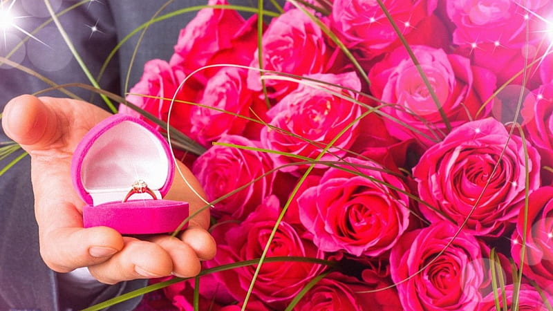 buket, pink rose, flower, hand, ring, HD wallpaper
