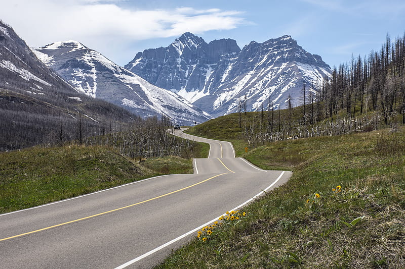 mountains, bends, road, snowline, field, trees, Landscape, HD wallpaper