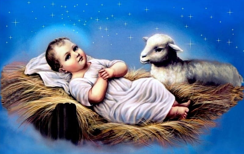 Baby Jesus, christ, jesus, gospel, nest, lamb, bible, baby, HD wallpaper