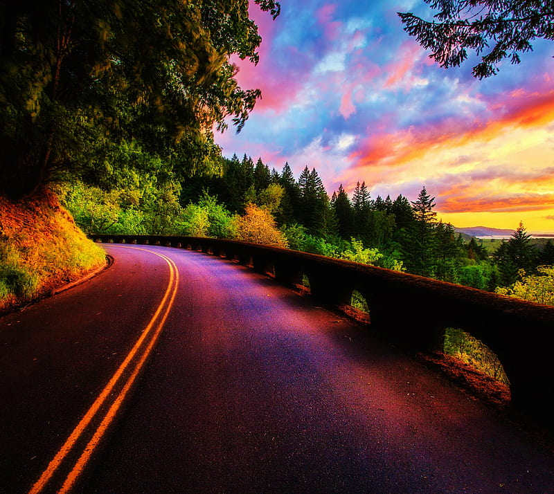 Sunset, colorful, forest, purple, road, shadow, street, trees, HD wallpaper