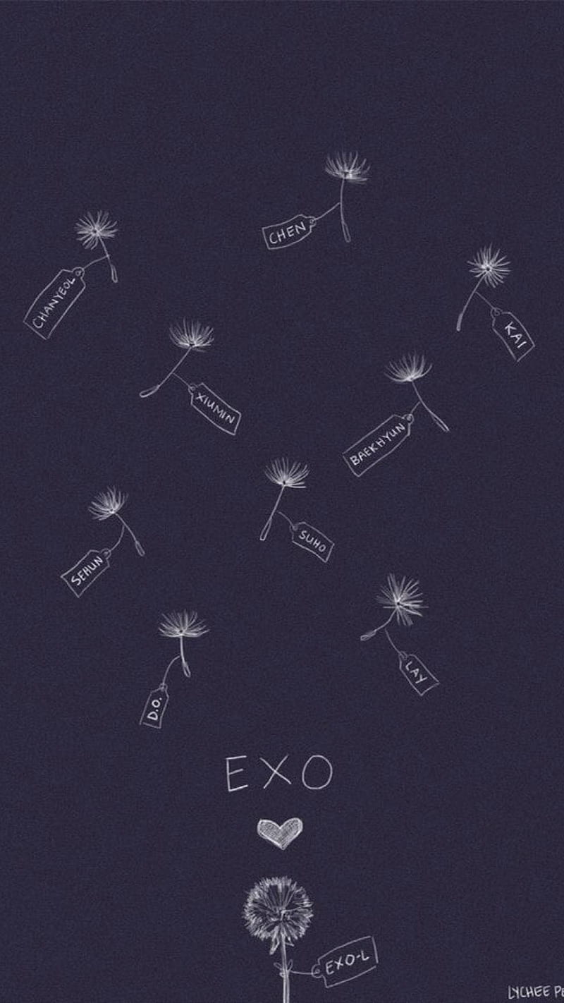 EXO_CHANYEOL X SEHUN_ WE YOUNG #WALLPAPER - exo wallpaper (41569226) -  fanpop