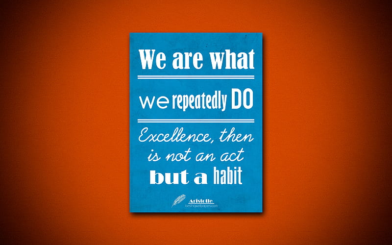We are what we repeatedly do Excellence then is not an act, but a habit, business quotes, Aristotle, motivation, inspiration, Aristotle quotes, HD wallpaper