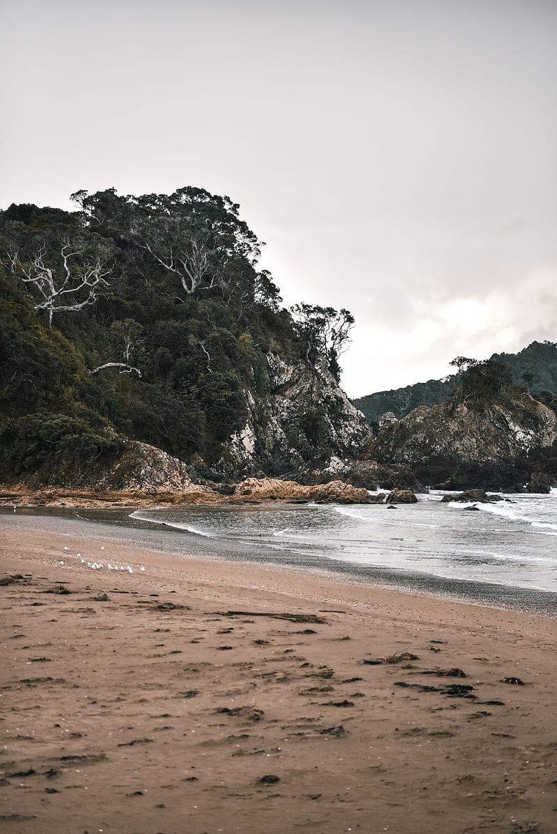 coast, beach, rocks, sand, sky, HD phone wallpaper