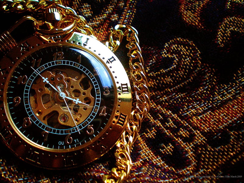 Present time, chain, link, time, steampunk, pocket watch, numbers, bonito, floral, hands, gold, timepiece, HD wallpaper