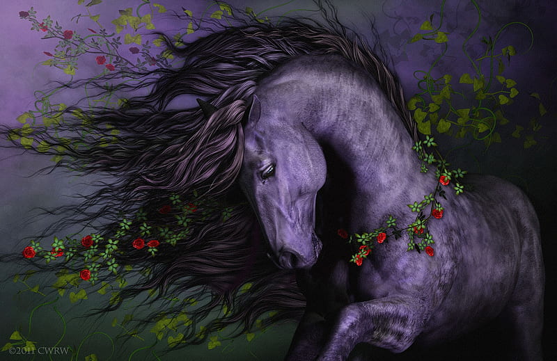 Download Fantasy Horse Fantasy Animals Blue Eyes Feather Hd Wallpaper   Background Image Wallpaper  Wallpaperscom