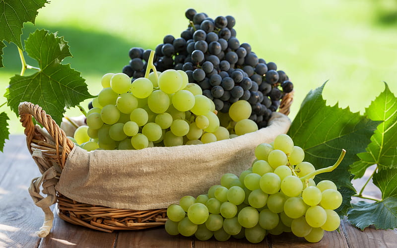 Grapes, toamna, fruit, grape, autumn, struguri, HD wallpaper