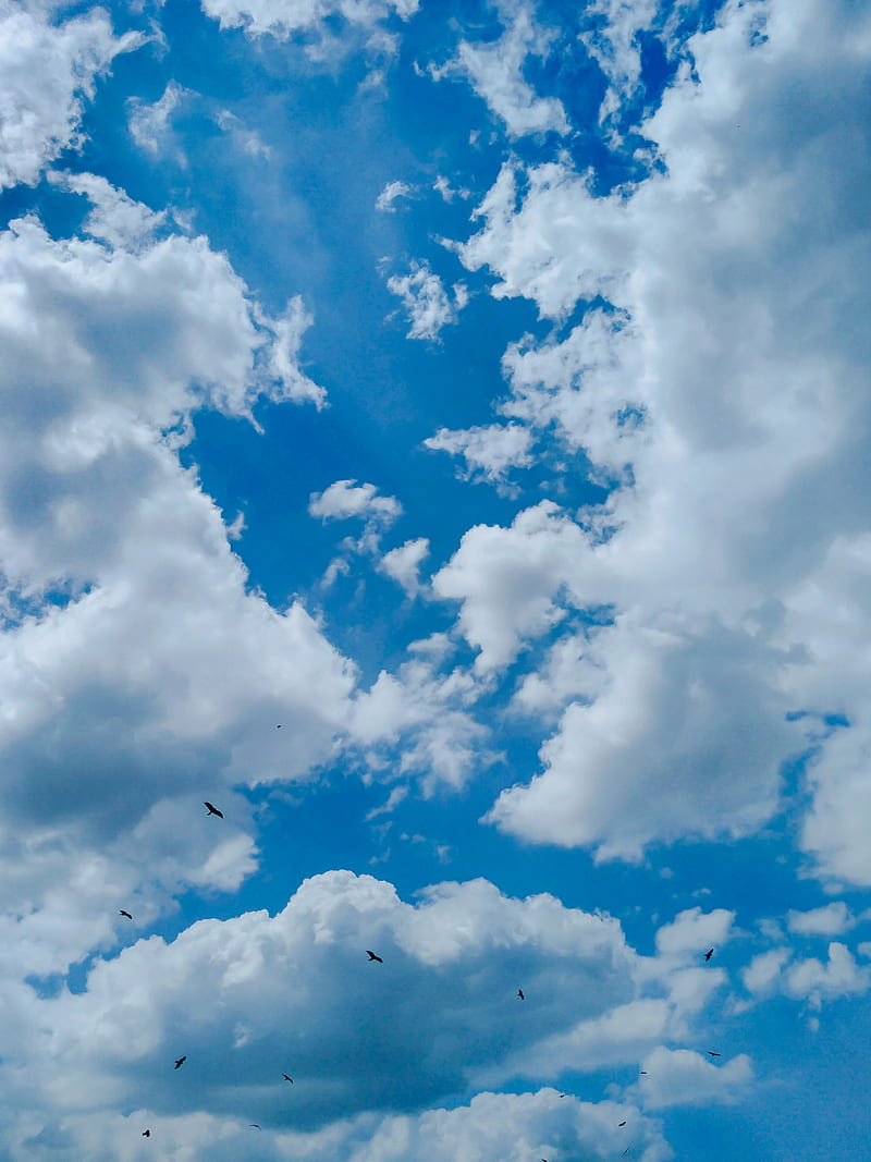 Sky, cloud, HD phone wallpaper