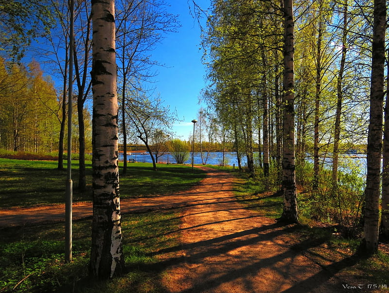 cycle path, sun, spring, lake, HD wallpaper
