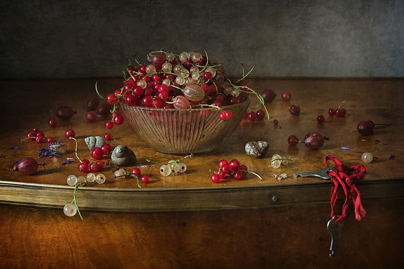ლ, Shell, Gooseberry, Keys, Berries, HD wallpaper