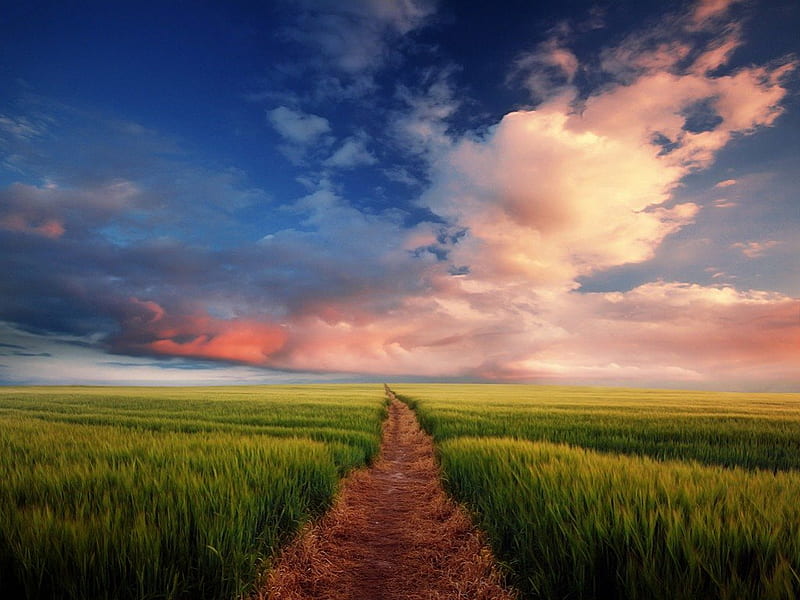 The Long Road Ahead, grass, bonito, sky, clouds, path, nature, fields, road, scenery, landscape, HD wallpaper