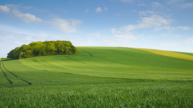 field, meadow, hill, sky, minimalism, HD wallpaper