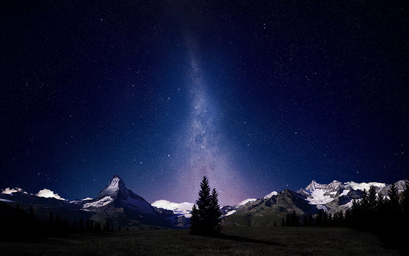 ~The Alpine Sky~, stars, stunning, mountains, trees, sky, night, winter, landscape, HD wallpaper