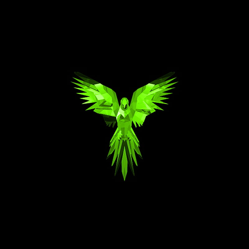 Green bird, eagle, amoled, HD phone wallpaper