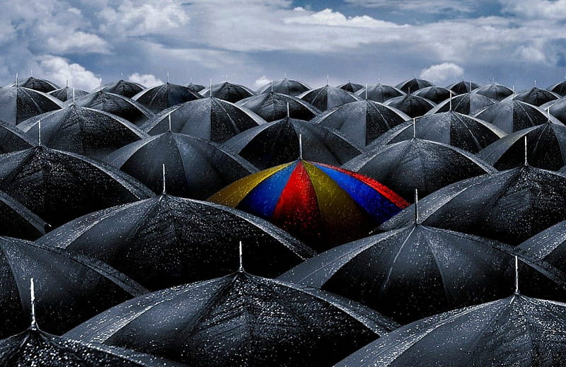 Day of the Romanian flag, red, death, romania, accident, umbrella, yellow, cehenot, 2013, trip, 23 06 2013, tears, cry, blue, commemoration, cloud, black, june, sky, flag, sorrow, summer, muntenegru, rain, HD wallpaper
