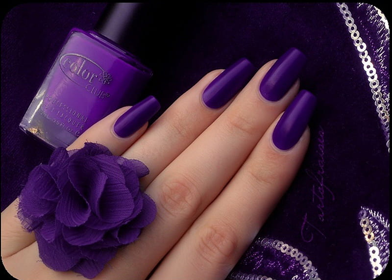 purple nails, flower, beauty, purple, nails, HD wallpaper