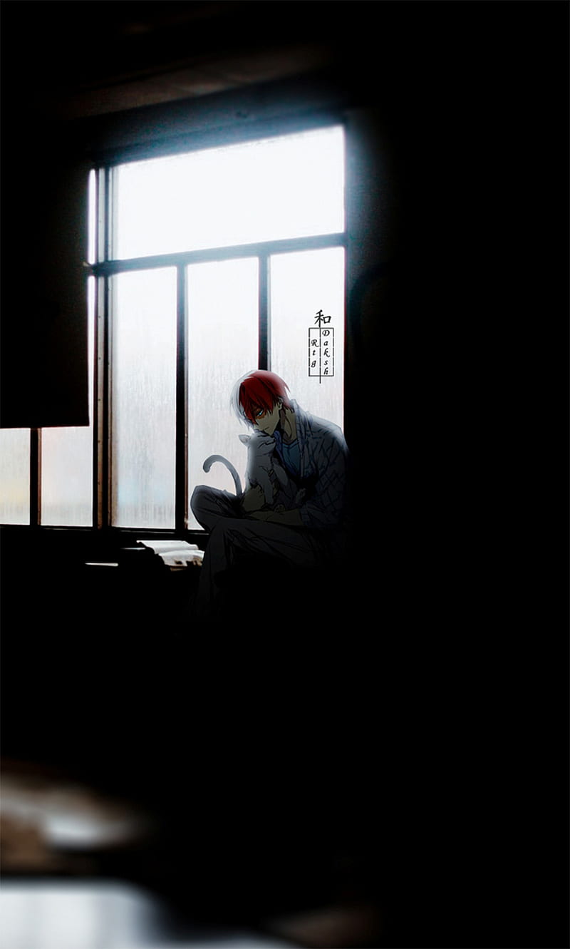 Shoto Todoroki, anime, cat, home, morning, my hero academia, room, screen, windows, HD phone wallpaper