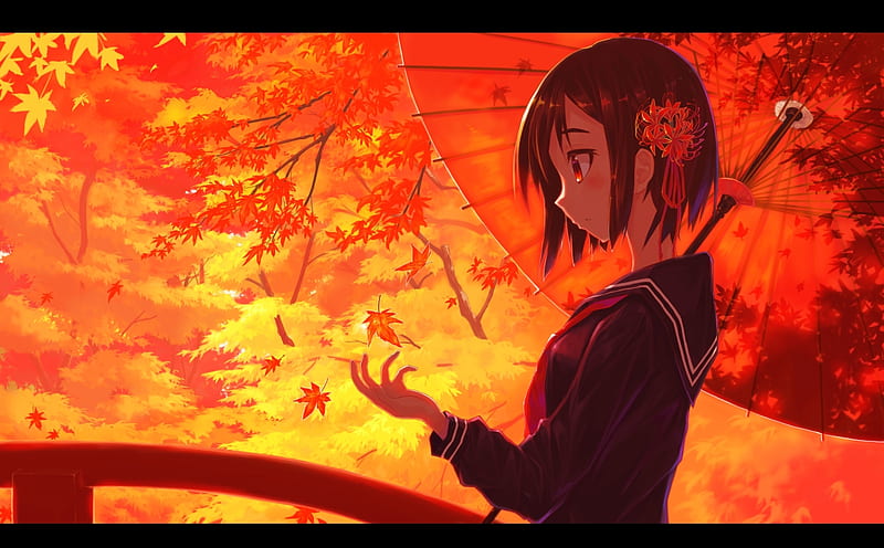 Hojas de otoño, rojo, otoño, niña, anime, paraguas, manga, sorano eika,  hoja, Fondo de pantalla HD | Peakpx