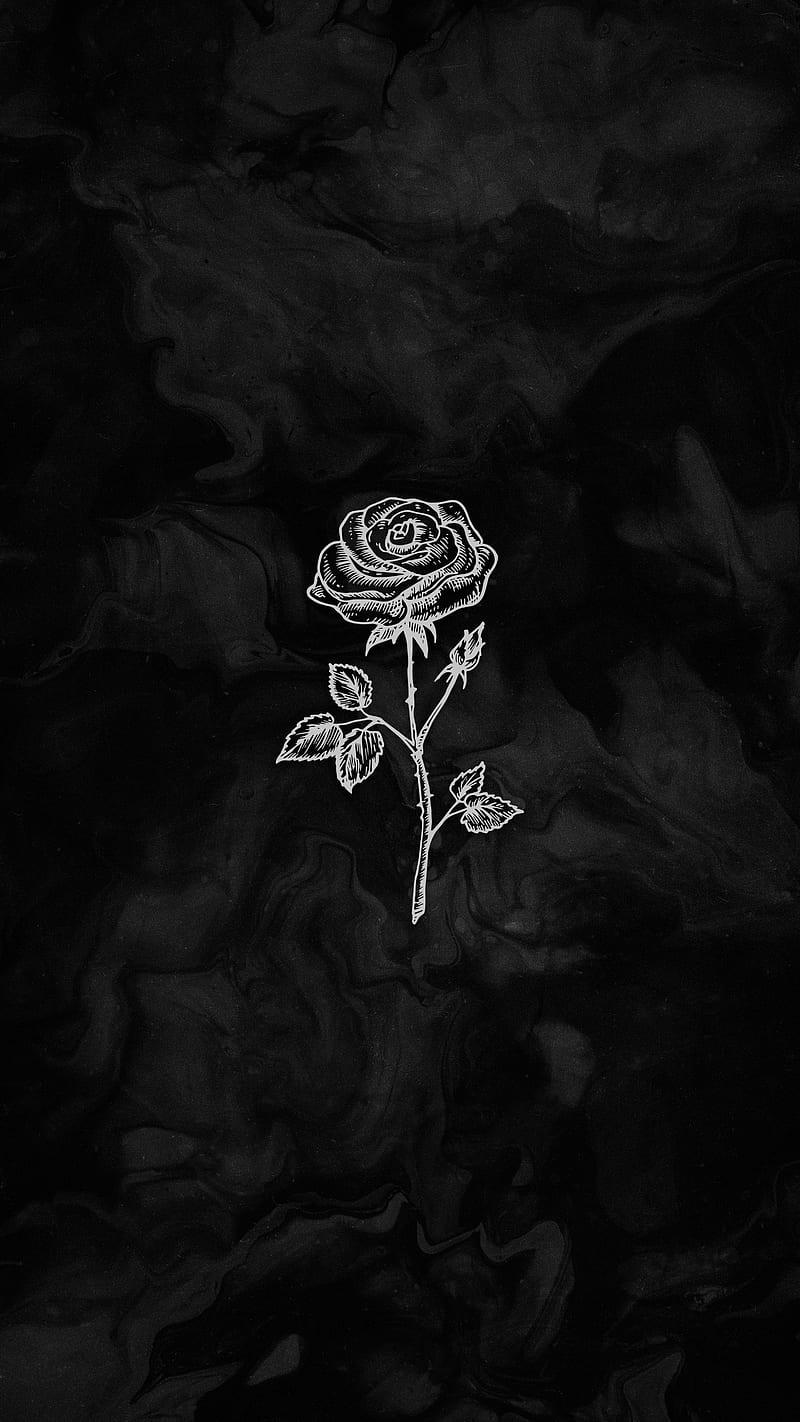 Rose, rose, wild, HD phone wallpaper