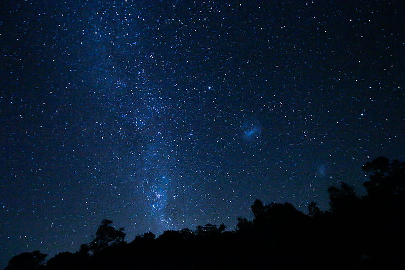  Espacio, cielo estrellado, árboles, estrellas, Fondo de pantalla HD