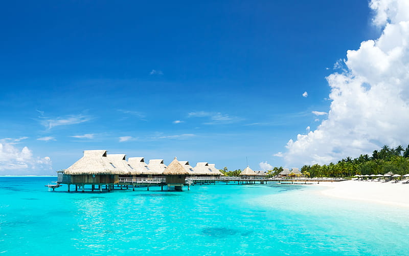 Bora-Bora, ocean, hotels, bungalows, azure, summer, palm trees, beach, HD wallpaper