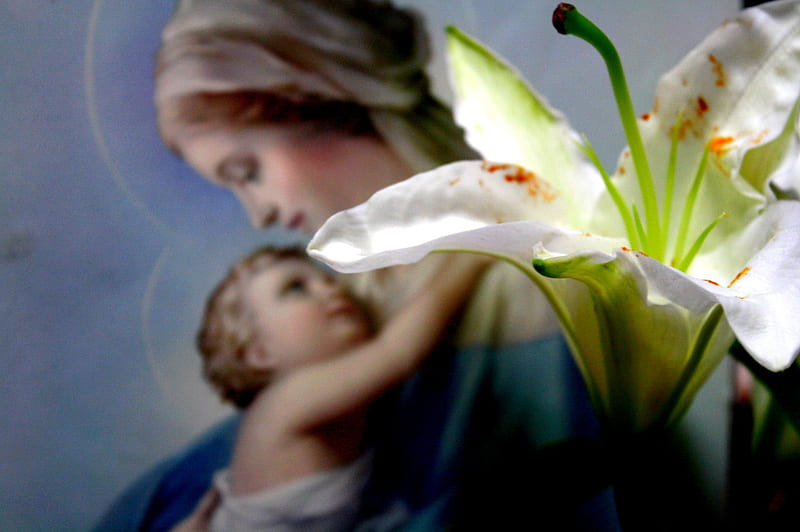 The HOLY MOTHER of GOD, Jesus Christ, love, Maria, lily, mother, son, HD wallpaper