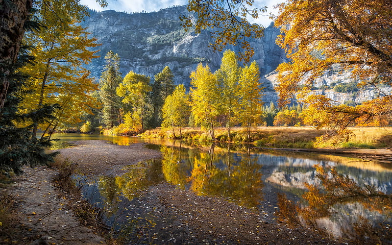 Merced River, autumn, mountain landscape, forest, yellow trees, mountain river, Yosemite National Park, California, USA, HD wallpaper