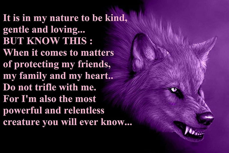 purple wolf, saying, wolf, purple, quote, HD wallpaper