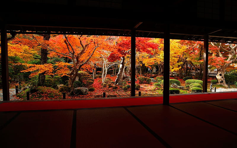 best angle of the autumn landscape-Enkoji Temple Autumn, HD wallpaper