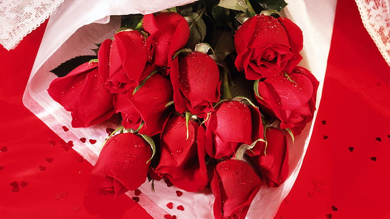 A Dozen Red Roses, red, romantic, romance, dozen, roses, togetherness, loyalty, love, siempre, HD wallpaper