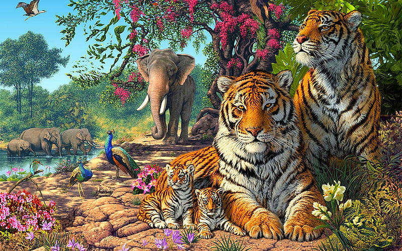 Tigers-Family-Exotic-Birds-Paun-Elephants-Jungle-Naturefor-Animal-Lovers, Baume, Elefant, Deutschland, Familie, Tiger, Wald, HD wallpaper