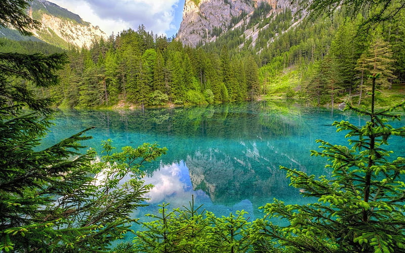 mountain lake, forest, beautiful nature, mountains, Italy, Alps, HD wallpaper
