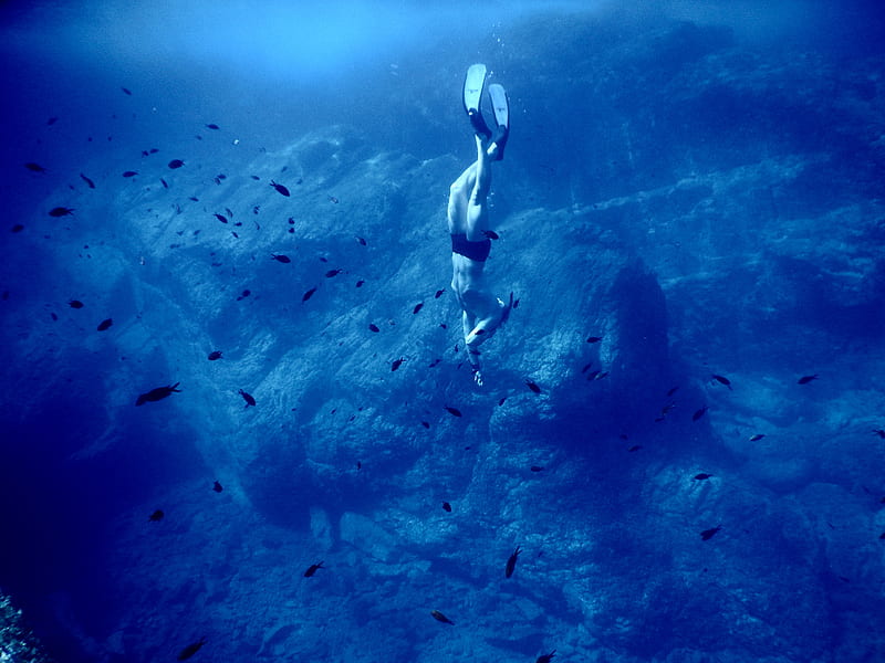 diver under water, HD wallpaper