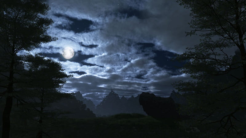 NEW MOON, forest, stars, moon, clouds, sky, night, HD wallpaper