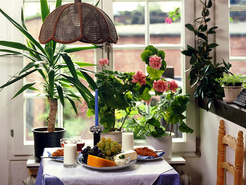 Interior dining room design, table, lamp, window, food, interior, desenho, green, dining, plants, flowers, chair, room, HD wallpaper