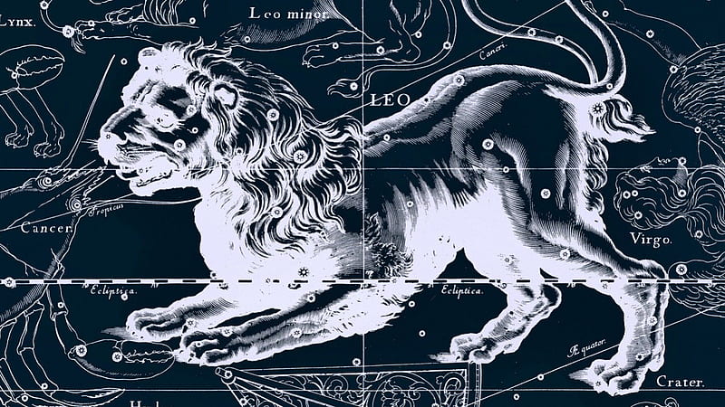 Zodiac ~ Leo, constellation, stars, leo, zodiac, white, sky, lion, blue, HD wallpaper