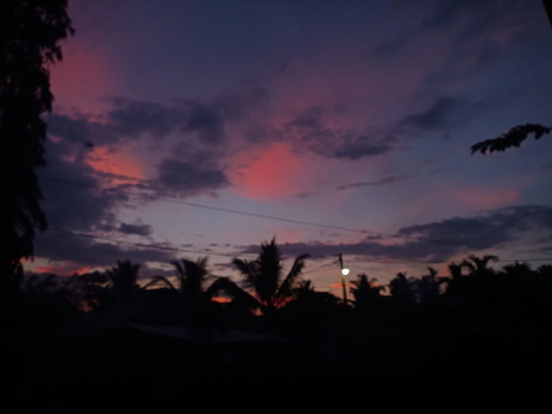 Sunset, aceh, galaxy, indonesia, magrib, senja, sky, tree, HD wallpaper
