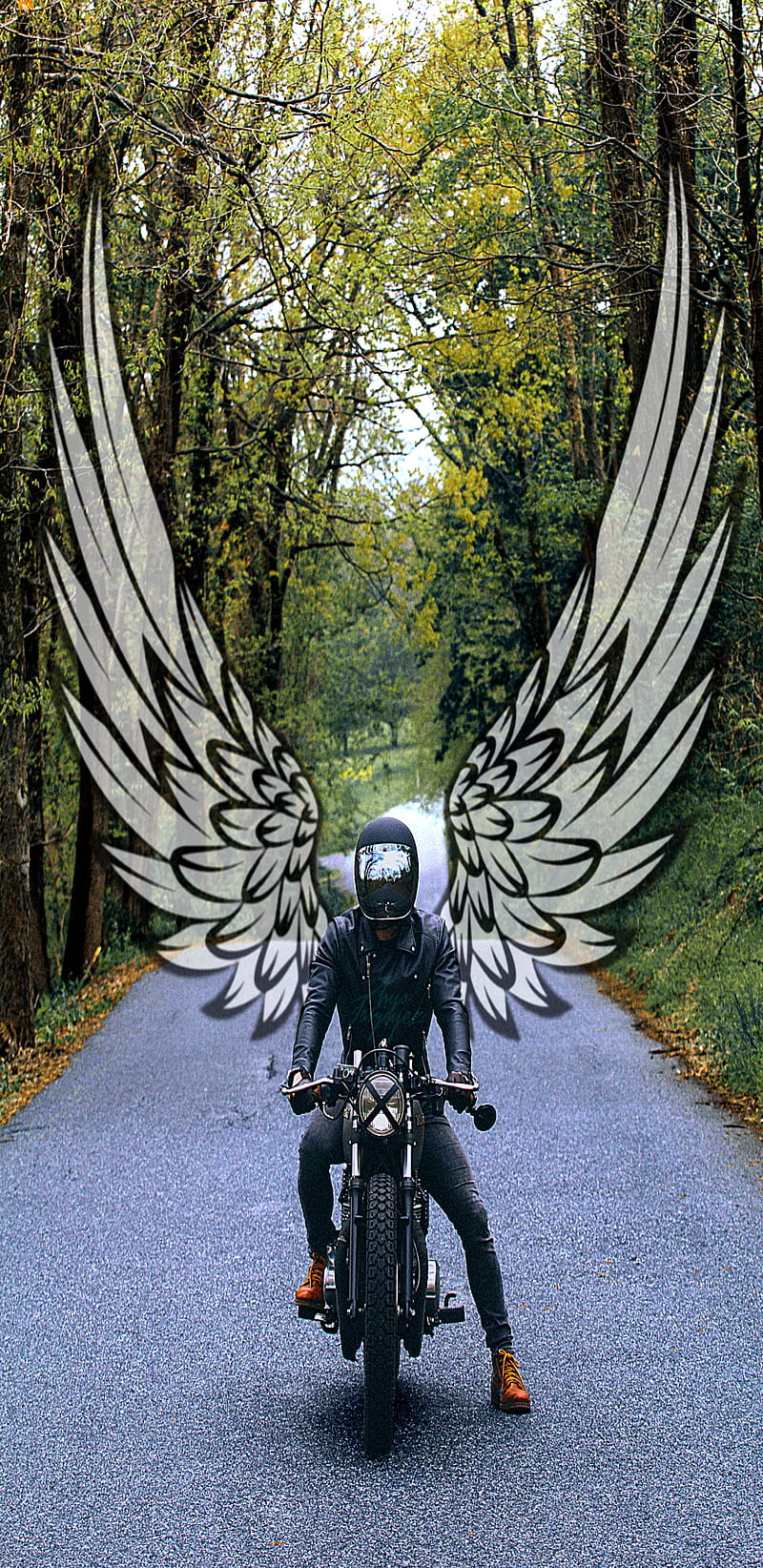 Angel Rider, alas, bike, biker, forest, camino, moto, motor, naturaleza, HD phone wallpaper